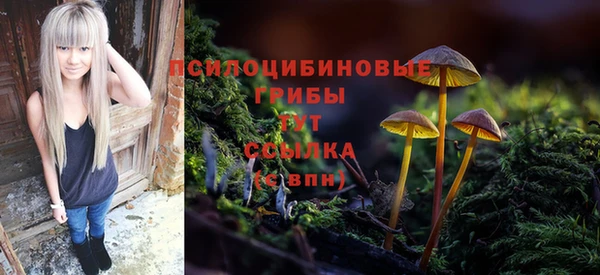 стафф Балахна