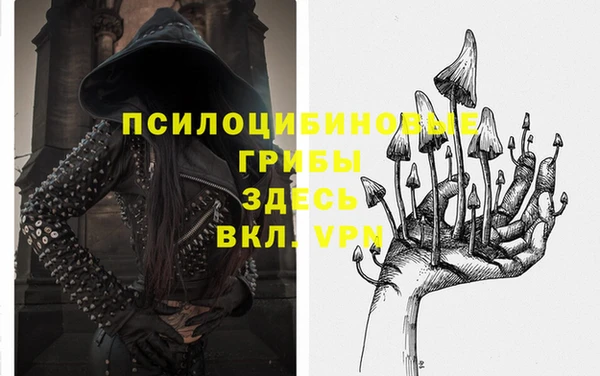 стафф Балахна