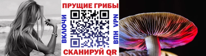 Галлюциногенные грибы GOLDEN TEACHER Старый Крым